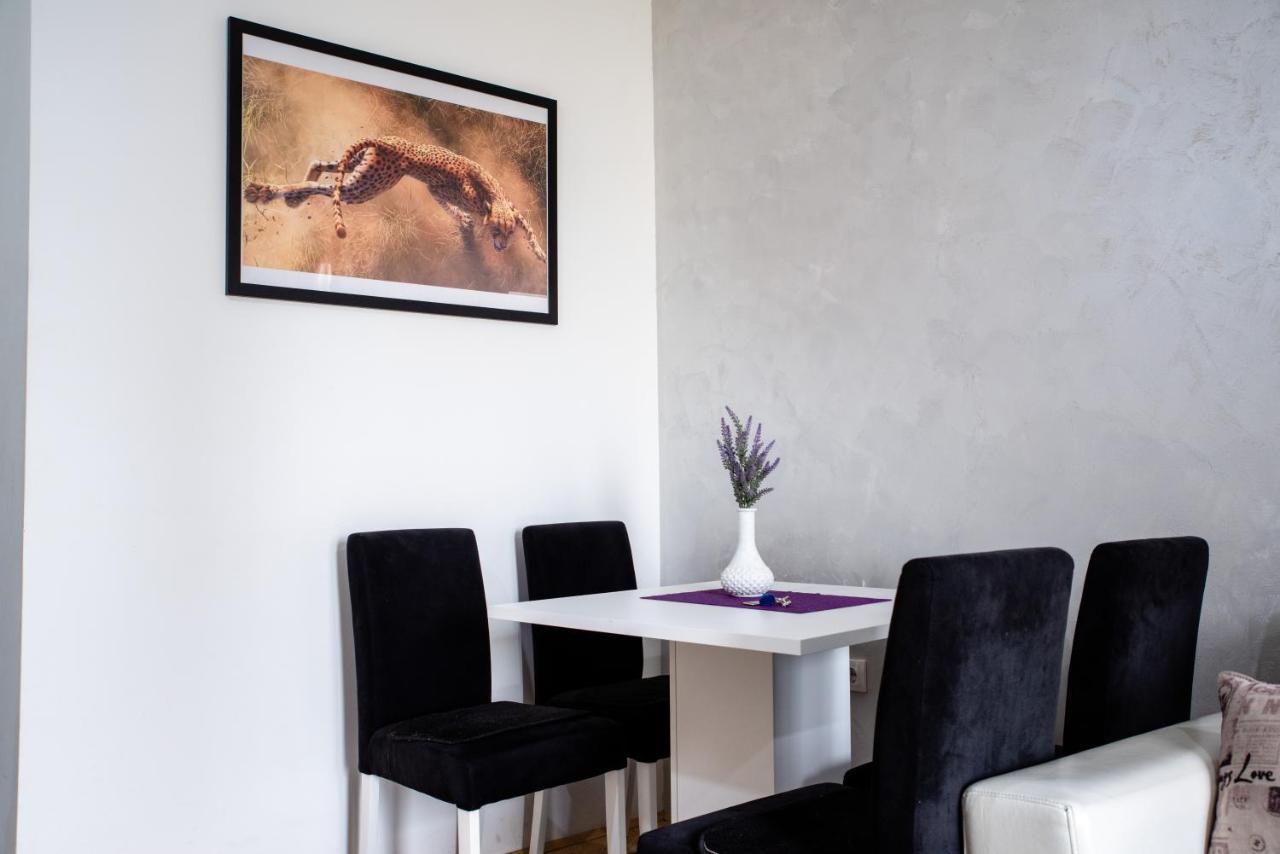 Apartamento Apartman Black Star Novi Sad Exterior foto